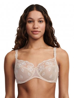 Beige Women Chantelle Champs Elysees Full Coverage Unlined Bra | WEG7989YZ