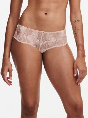 Beige Women Chantelle Fleurs Hipster Panty | EPQ371EQ