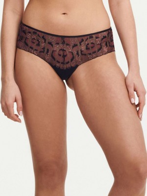 Black Multicolor Women Chantelle Nightfall Lace Hipster Panty | BGC7919TO