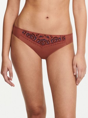 Brown Multicolor Women Chantelle Every Curve Bikini Bottoms | RMT9542SM