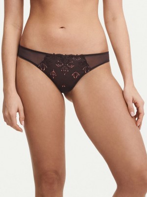 Brown Women Chantelle Champs Elysees Lace Thong Panty | PFC8641WI