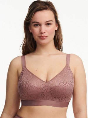 Brown Women Chantelle Norah Comfort Supportive Wirefree Bras | BHS9343VE