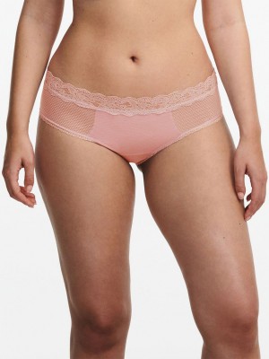 Coral Women Chantelle Brooklyn Hipster Panty | TWP2934TF