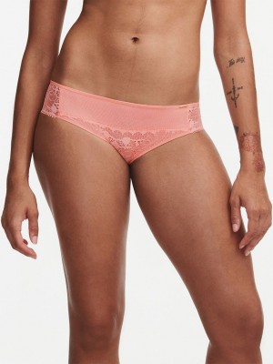 Coral Women Chantelle Day to Night Bikini Bottoms | BUW2083NN