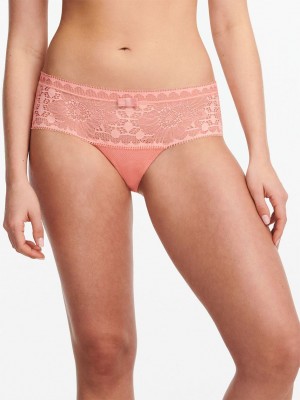 Coral Women Chantelle Day to Night Hipster Panty | LCS5487UL