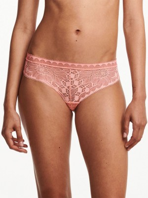 Coral Women Chantelle Day to Night Thong Panty | BZD586IU