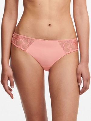 Coral Women Chantelle Fleurs Bikini Bottoms | WBE7075UY