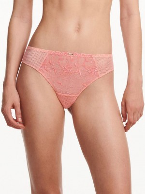 Coral Women Chantelle Fleurs Thong Panty | QDI5825CD