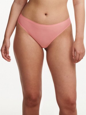 Coral Women Chantelle SoftStretch Thong Panty | CCW2871JZ