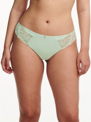 Green Women Chantelle Orangerie Dream Thong Panty | SIW6656KP