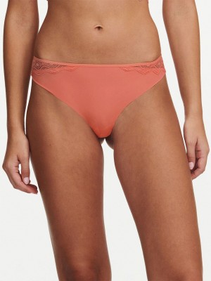 Pink Coral Women Chantelle Georgia Thong Panty | OXK2637QL