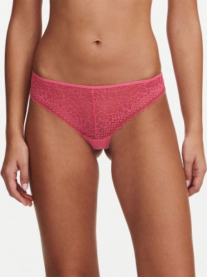 Pink Coral Women Chantelle Pila Thong Panty | RFH6837NZ