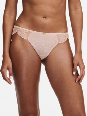 Pink Women Chantelle Mystic Dream Lace Thong Panty | RDR1529MV