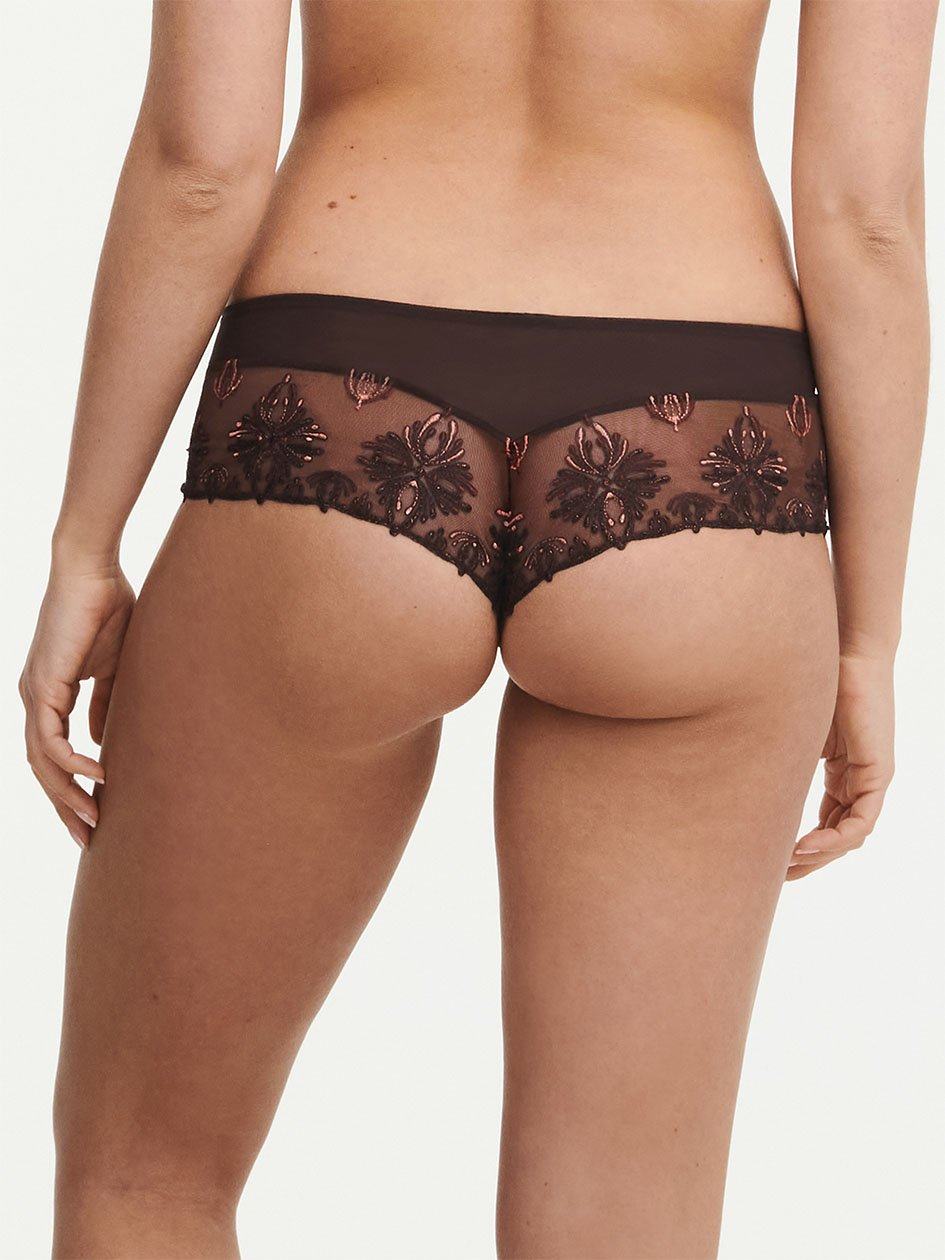 Brown Women Chantelle Champs Elysees Lace Hipster Panty | WHK329SX