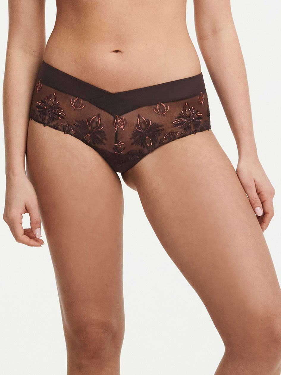 Brown Women Chantelle Champs Elysees Lace Hipster Panty | WHK329SX