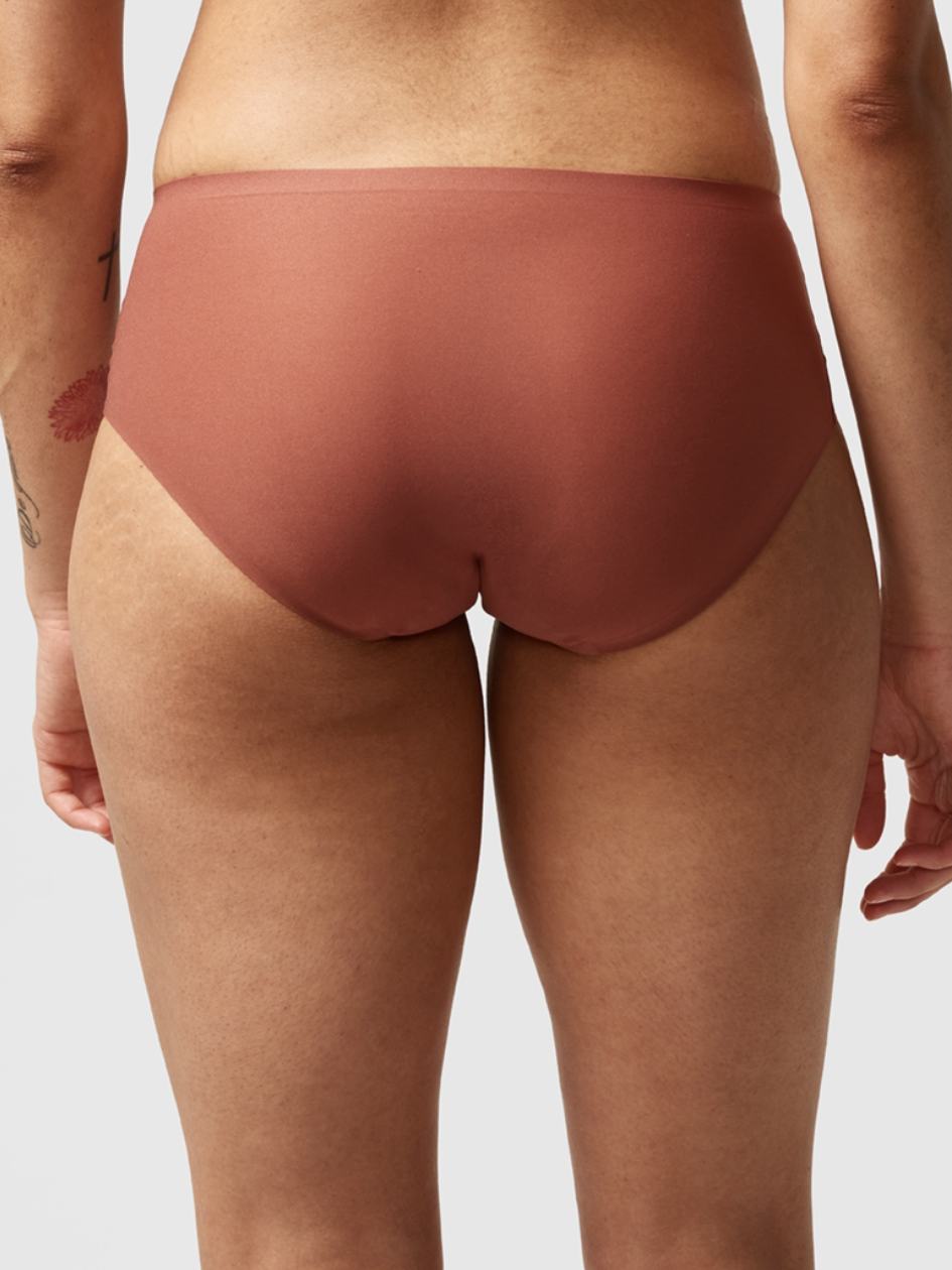 Brown Women Chantelle SoftStretch Hipster Panty | TSP9278LV