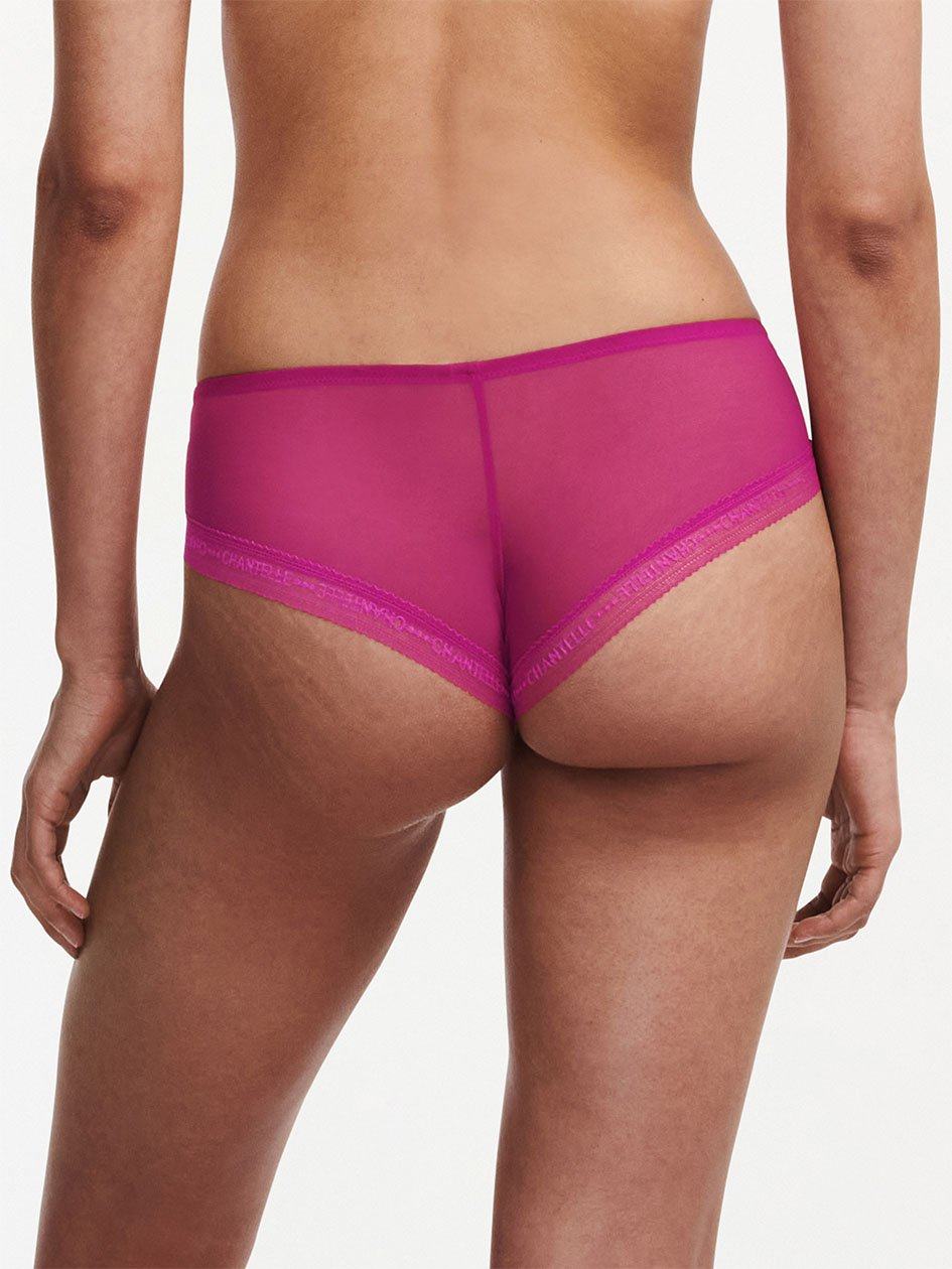 Purple Women Chantelle Modern Support Hipster Panty | TXE741OS