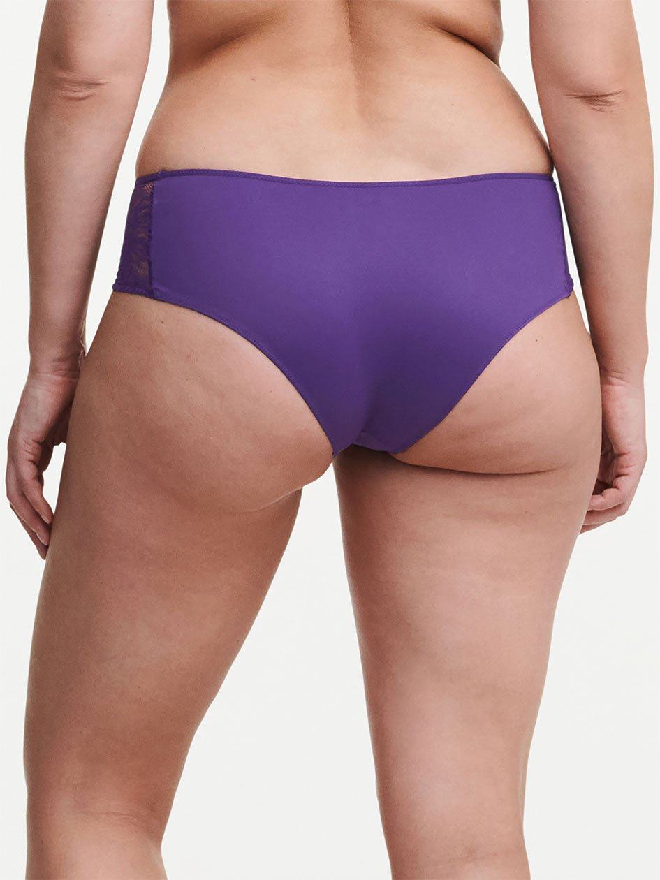 Purple Women Chantelle Naya Lace Hipster Panty | WSI4131VM